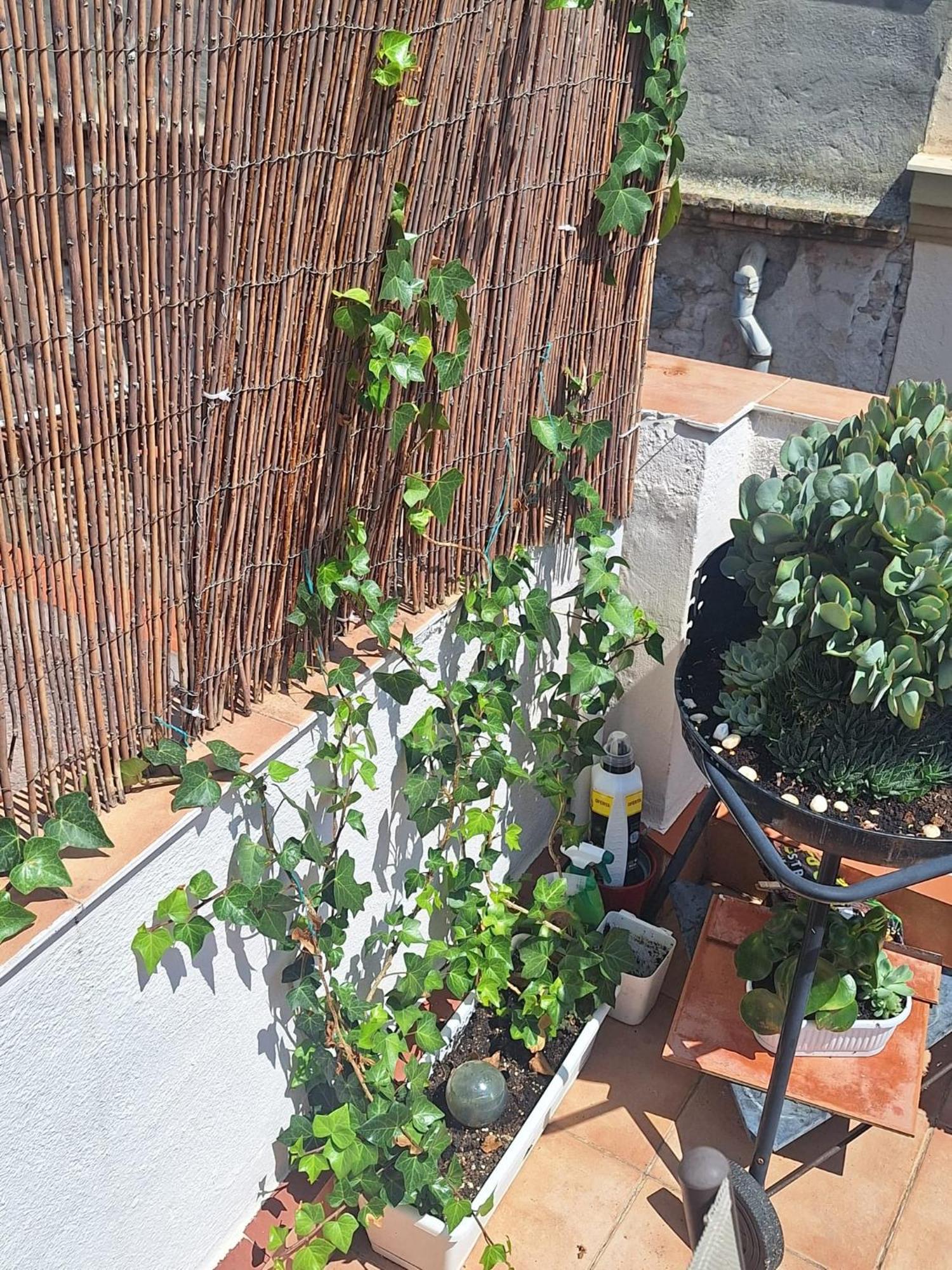 El Terrat De La Tecla - Duplex Casc Antic Apartment Tarragona Exterior photo